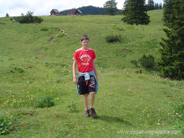 37 Michal